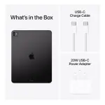 Apple iPad Pro 13-inch (M4, 7th Generation, 256GB, 5G Cellular, Silver) with Standard Glass – International Version